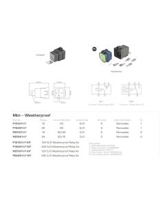 Ionnic P2524RWP Relay Power C/O 24V 20/15A Resistor