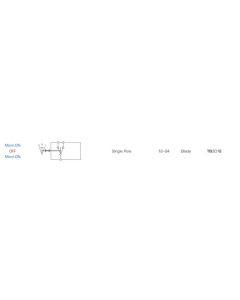 Ionnic TB301E Toggle Switch Single Pole Mom/On/Off/Mom/On - Blade (12-24V)